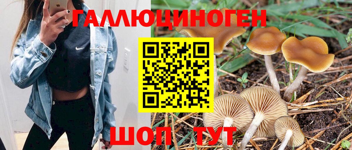 Галлюциногенные грибы Magic Shrooms Астрахань